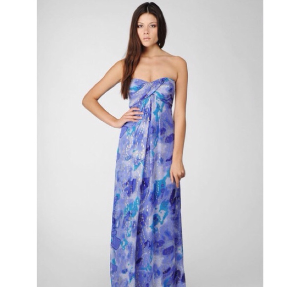COPY - Nicole Miller Gown-Sizes 6&8 BNWT